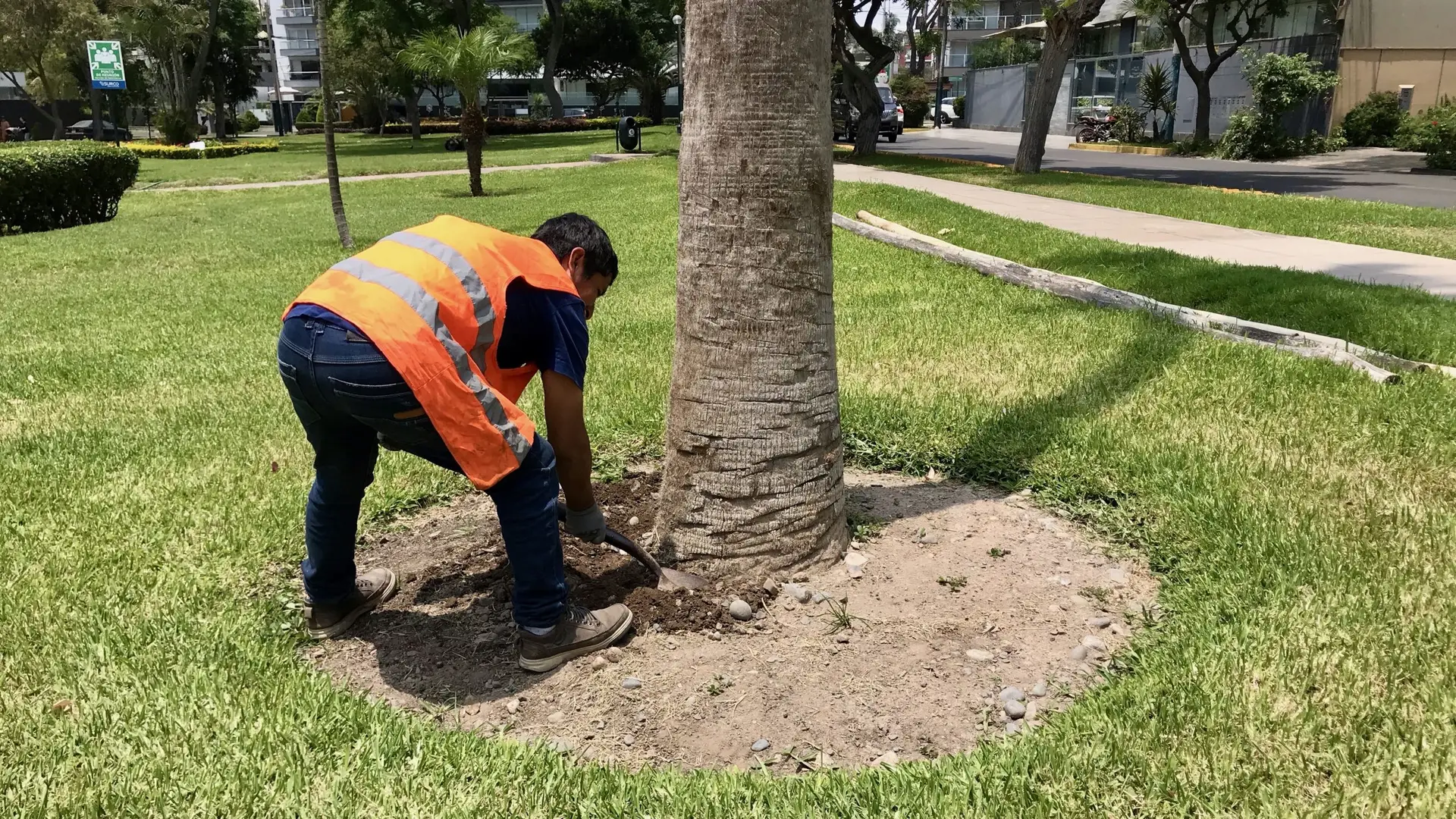 Mantenimiento post traslado